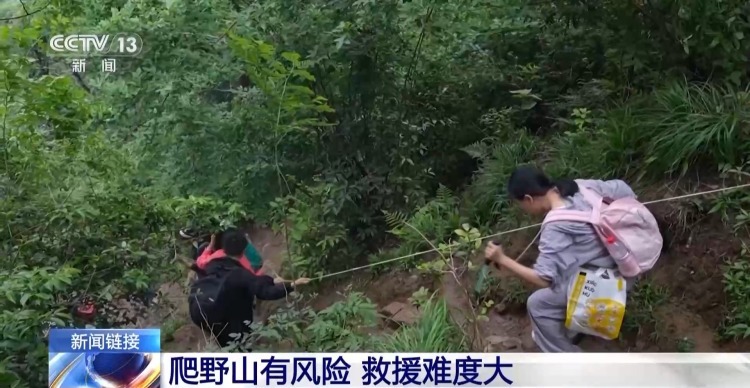 msn, 爬野山有风 msn, 爬野山有风