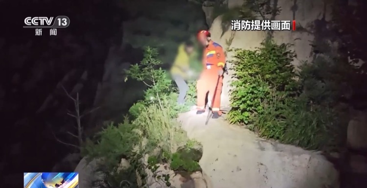 者遇到野生 者遇到野生