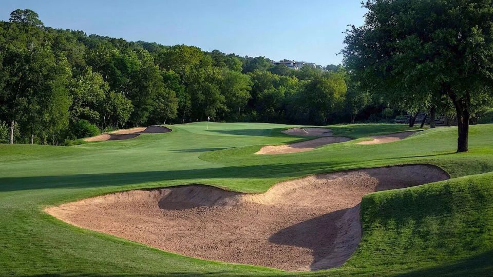 他们不仅理 他们不仅理